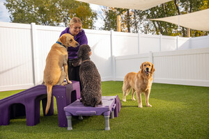 Coming Soon: Aurora Central Bark Location to Open Spring of 2025